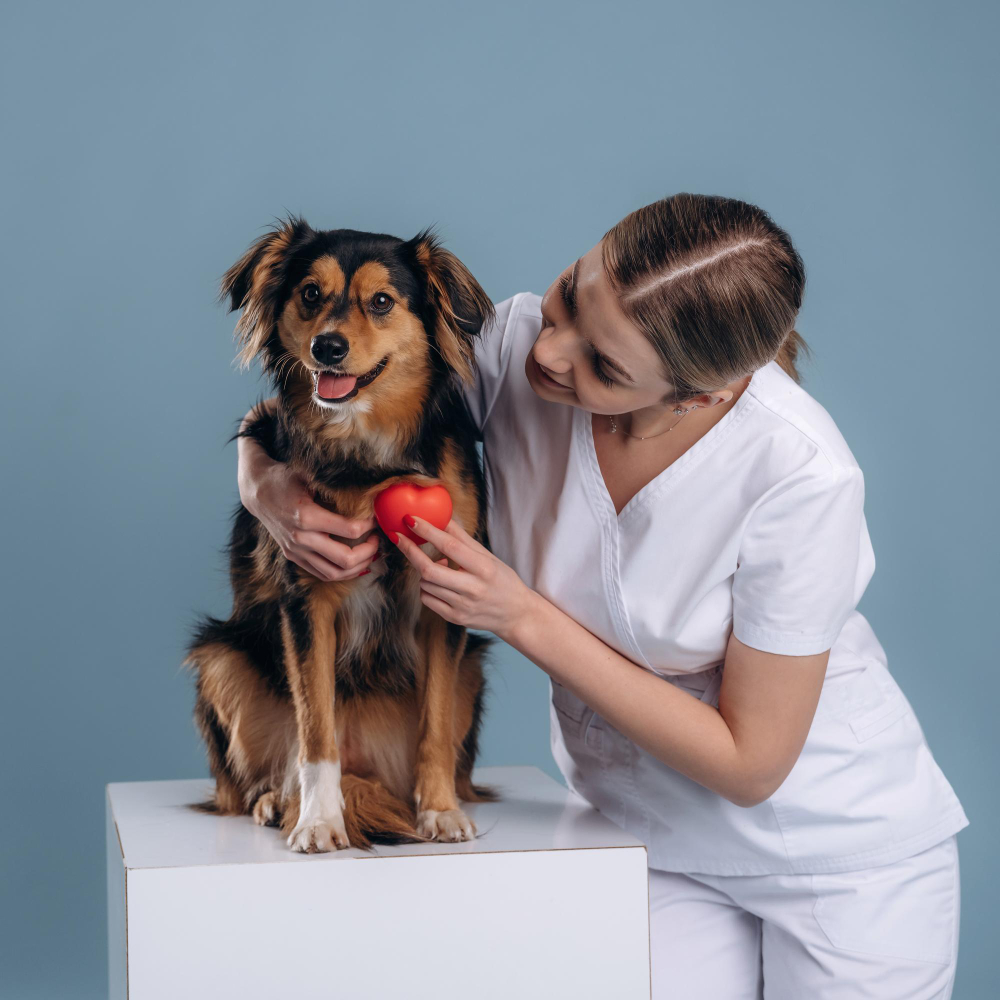 YOUR SOUTH MIAMI VET FOR EVERY STAGE OF YOUR PET’S LIFE
