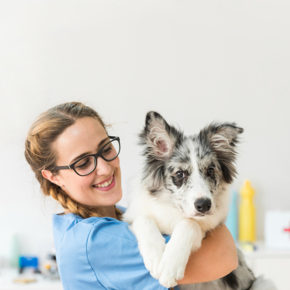 South Miami pet clinic