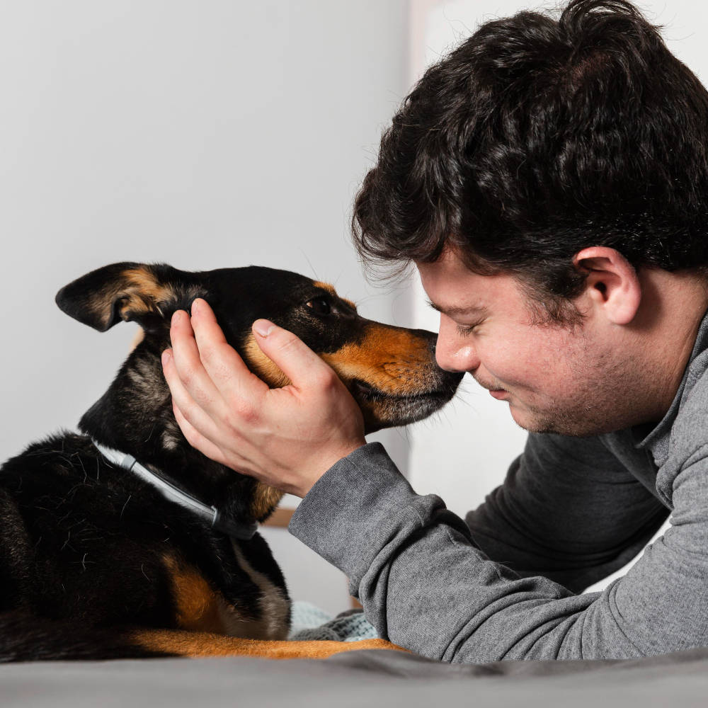 At Home Euthanasia